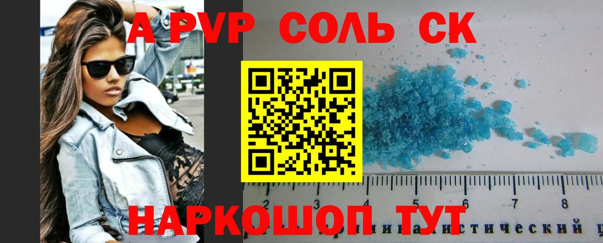 A PVP Петропавловск-Камчатский