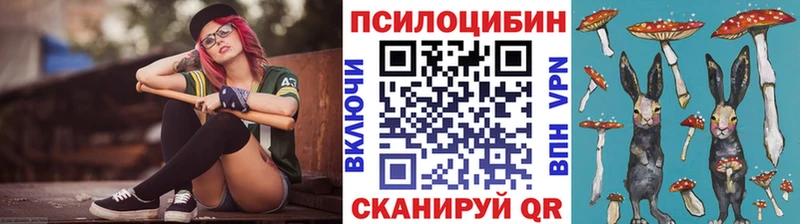 цена наркотик Петропавловск-Камчатский Псилоцибиновые грибы Magic Shrooms
