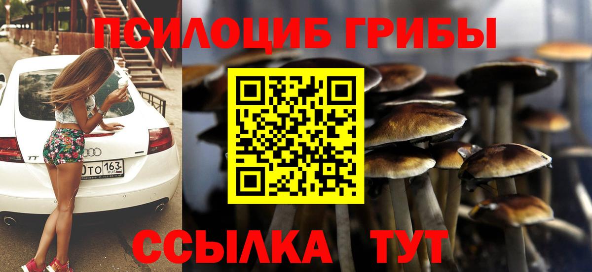 хочу   Псилоцибиновые грибы Magic Shrooms  Вход с VPN  Петропавловск-Камчатский  Галлюциногенные грибы прущие грибы 