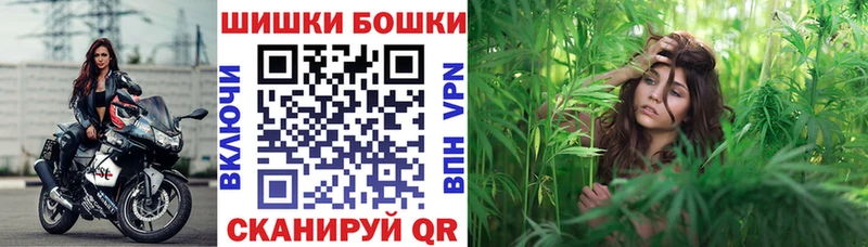 Бошки Шишки план Петропавловск-Камчатский